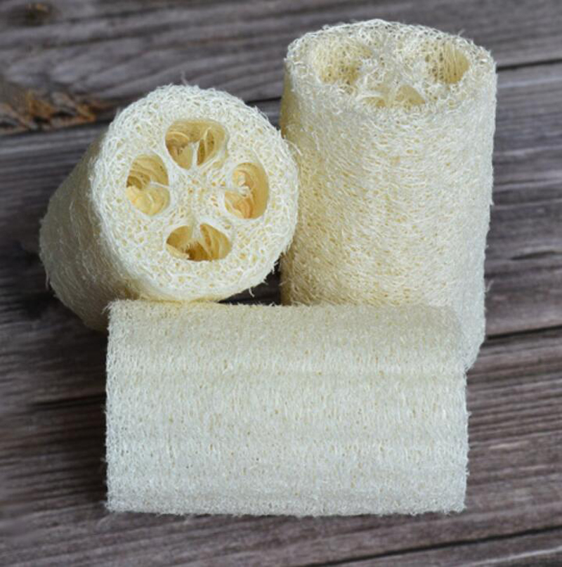 Natural Si Gua Luo Wholesale Hotel Disposable Natural Loofah for Kitchen