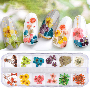 12 Colours Nail 3D Art Dried Dry FlowersNew Japanese nails dried flower 12 color star sun flower small daisy