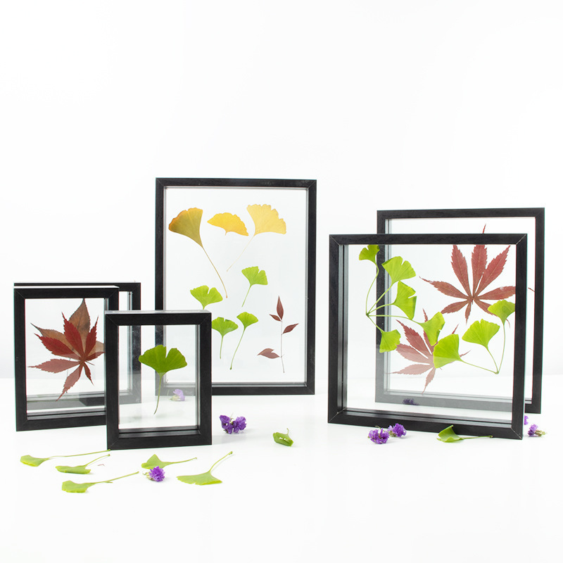 Hot Sale Mdf Material Float Frame Double Glass Plant Specimen Photo Picture Frame For Home Decoration