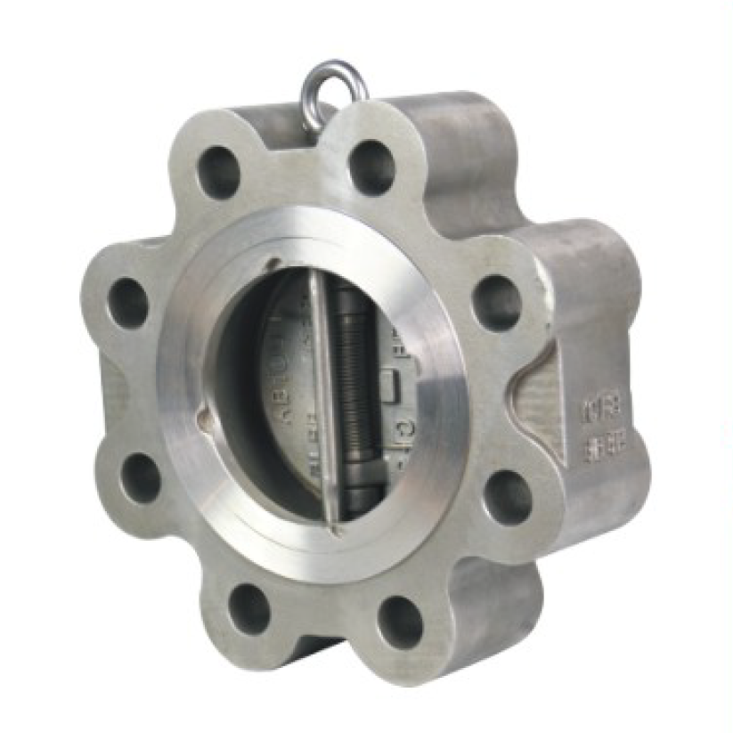 Flange Silent Check Valve PN10 PN16 PN25 Class125 10K dn50-dn600 Ductile Iron Check Valve