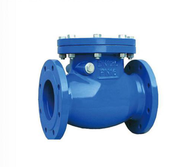 Swing check valve for water supply and drainage pipeline