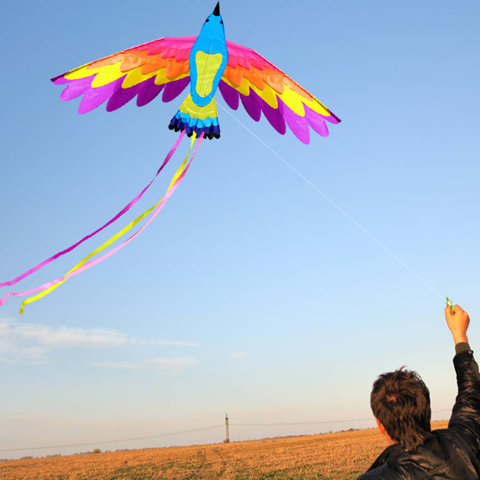 New Luminous Led Kite Adult Children Large Colorful Phoenix Kite Reel Tools Toys Eagle Animal Flying Kites