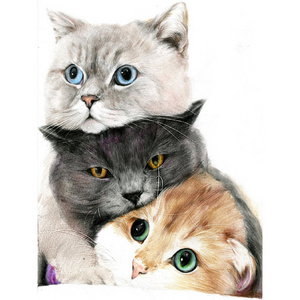 5D Diy Diamond Painting Cat Family Crystal Rhinestone Paintings Animal Diamond Embroidery Pictures for Living Room Wall Art