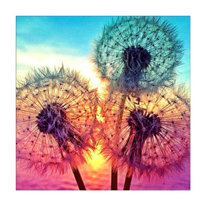 Hot Selling 5d diy Flower Diamond Painting kit for adults full drill Dandelion Diamond Embroidery Mosaic wall Art home decor