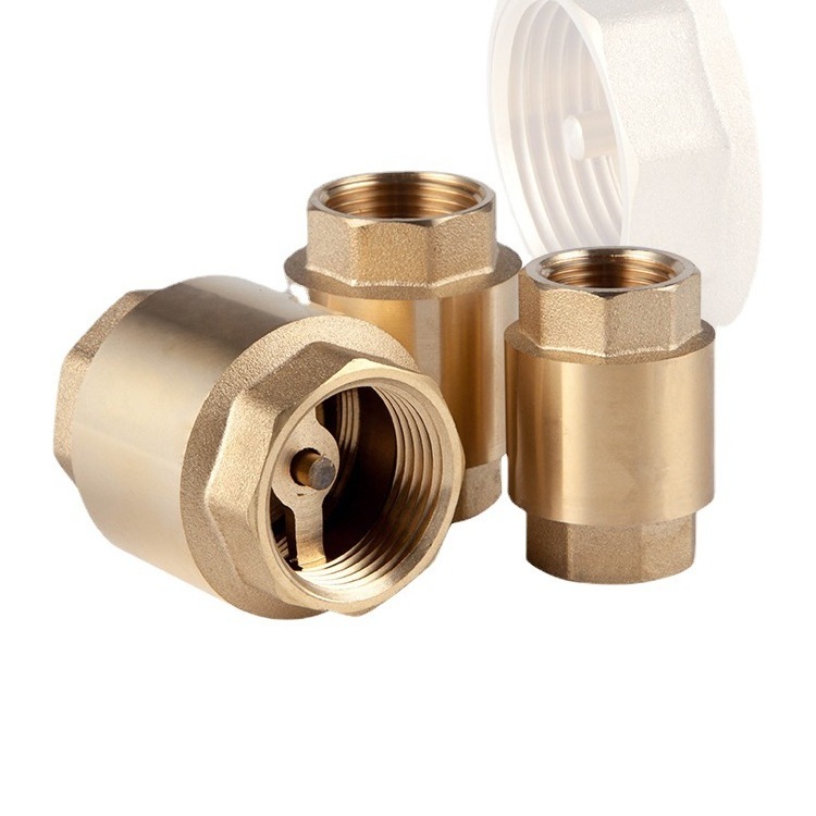 Brass Vertical Check Valve Anti-Backflow Check Valve Spring Lift Check Valve