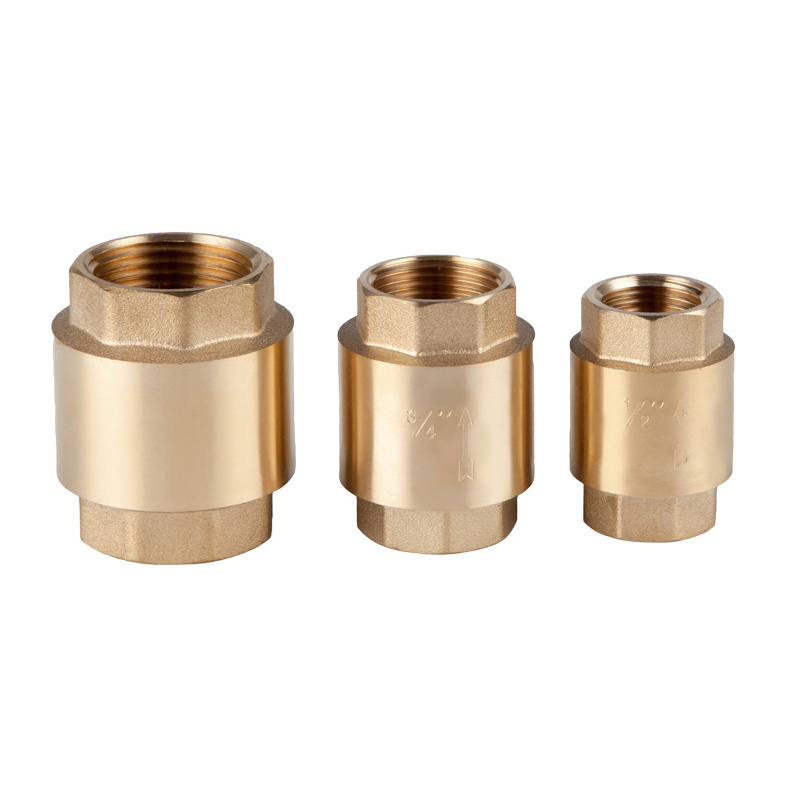 Brass Vertical Check Valve Anti-Backflow Check Valve Spring Lift Check Valve