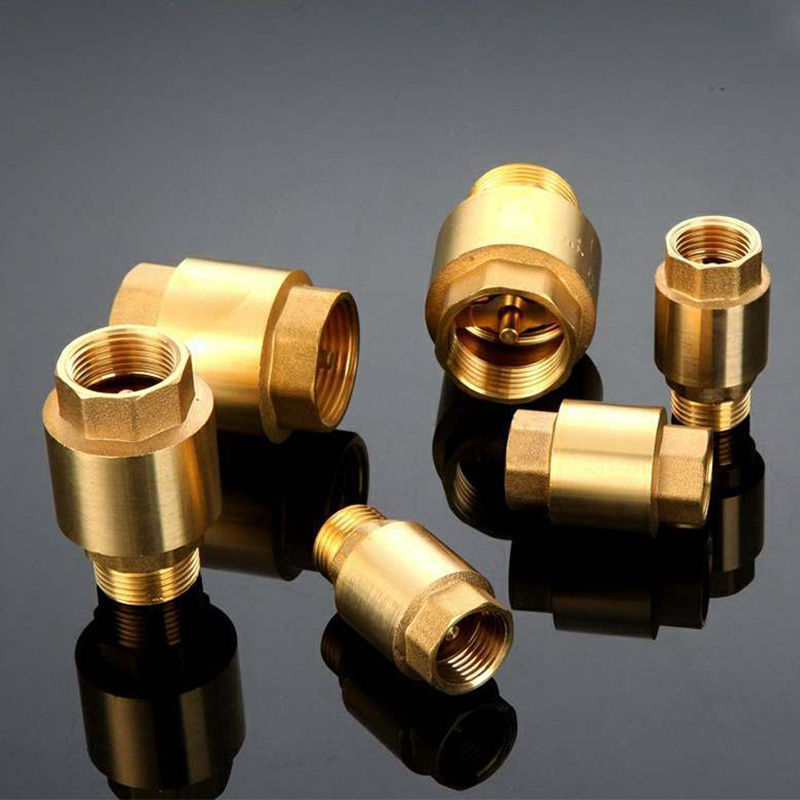 Brass Vertical Check Valve Anti-Backflow Check Valve Spring Lift Check Valve