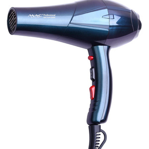 New Style Classic Blue Plastic Professional AC Motor Blower Hair dryer Exquisite Appearance High Quality Low Noise 5000w Blower