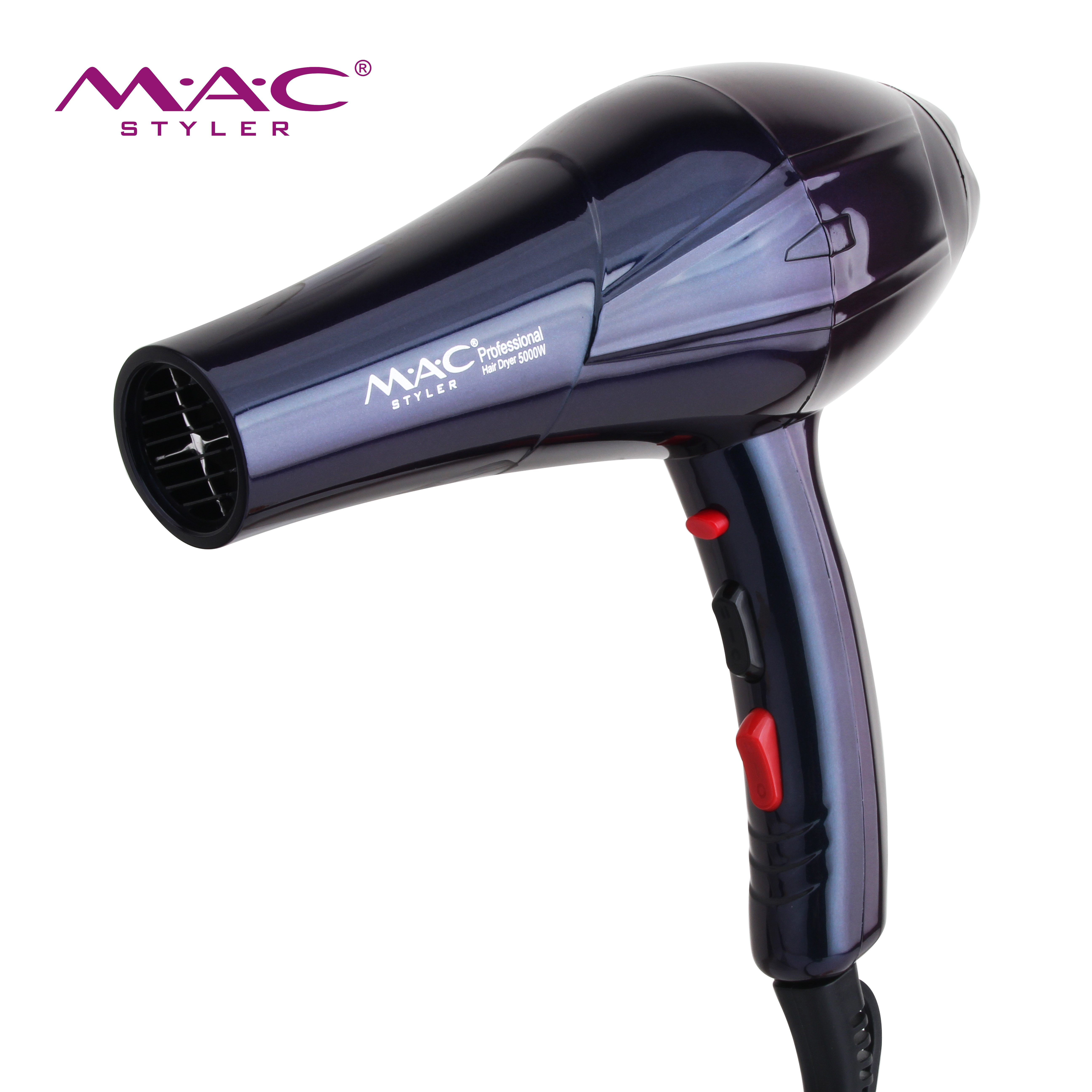 New Style Classic Blue Plastic Professional AC Motor Blower Hair dryer Exquisite Appearance High Quality Low Noise 5000w Blower