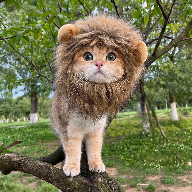 Factory Wholesale High Quality Cute Funny Pet Dress Cosplay Lion Mane Wig Hat for Cat Dog Halloween Pet Accessories