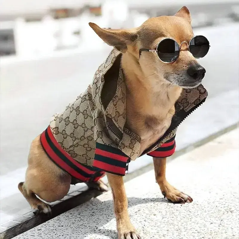 2024 Ins New Luxury Winter Pet Jacket Coat Fashion Brand Designer Dog Gu-cci Clothes