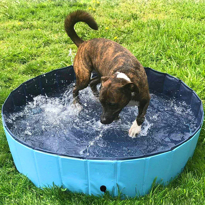 Wholesale and custom folding dog bath tub outdoor swimming pool portable pet dog pool