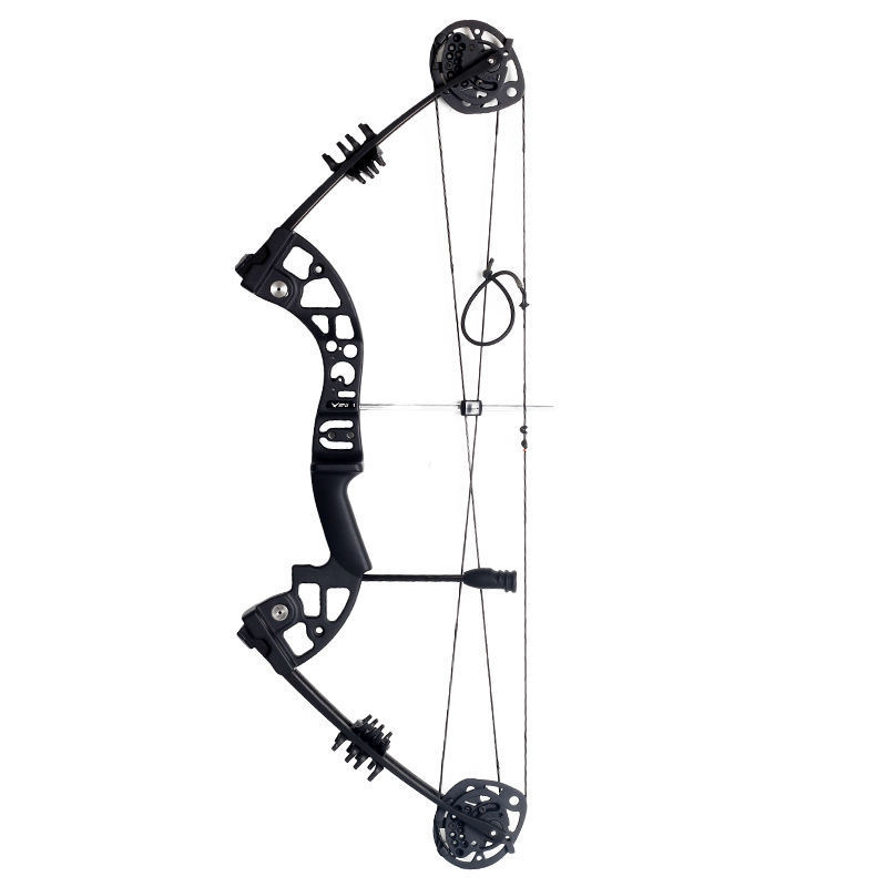 Compound Bow and Arrow Set Professional Hunting Archery Target Stabilizer Sight Release Archer Triangle Composite Bow Equipment