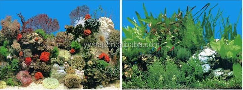 Aquarium Background Poster Fish Tank Double SIDE Coral Rock Landscape Poster Wall Decor 30cm-100cm