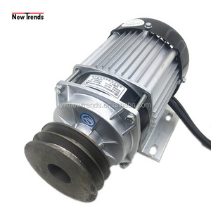 Unite BM1418ZXF 500W 36V 48V 60V Double Pulley Belt Drive Brushless DC Motor For Mower Electric Tricycle Farm Engine