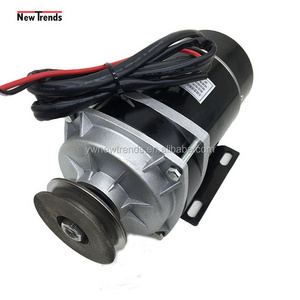 MY1120ZXF 36V 48V 600W  Brush DC Motor Pulley Drive For Amusement Park Toy Electric Bike DC Motor Engine Kit