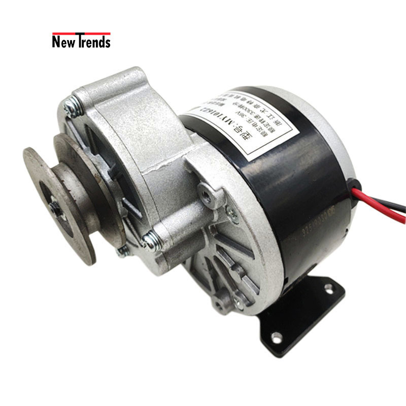 Custom MY1016 Z2 12V/24V/36V 250W Electric Bicycle Bike Scooter planetary Gear DC Brushed Motor With Belt Pulley Bracket