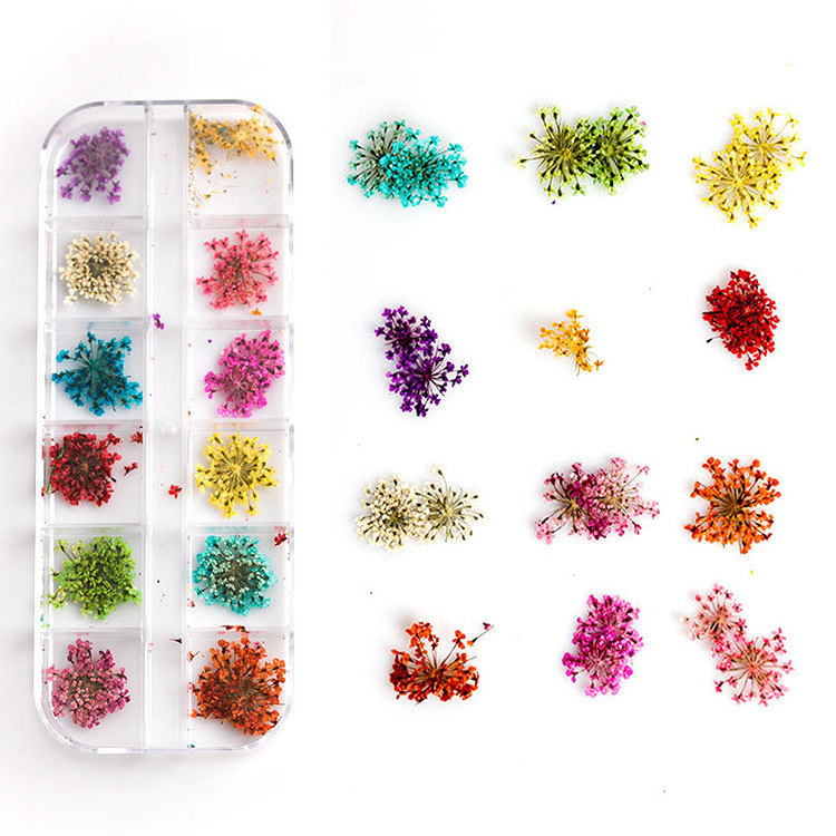 Wholesale Custom Flower Dried Flower Nail Art Charms Daisy Flower for Nail Art DIY Decorations