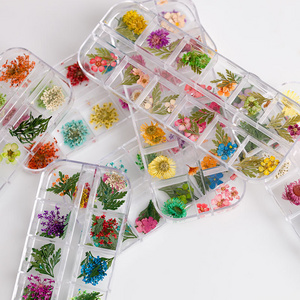 Wholesale Custom Flower Dried Flower Nail Art Charms Daisy Flower for Nail Art DIY Decorations