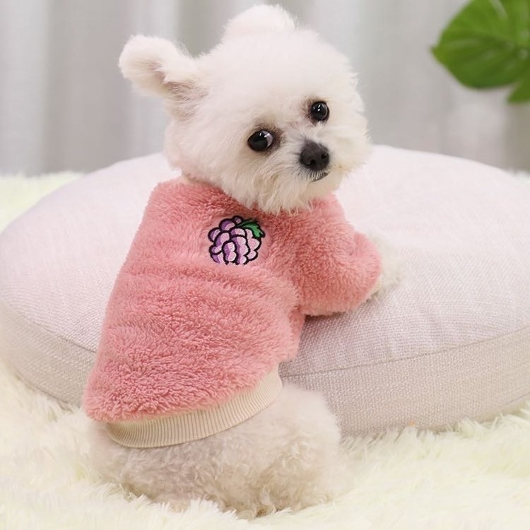 Polyester Dogs Autumn Fashion Winter Autumn and winter warm twolegged dog pet supplies clothes Dog Teddy New Year costume