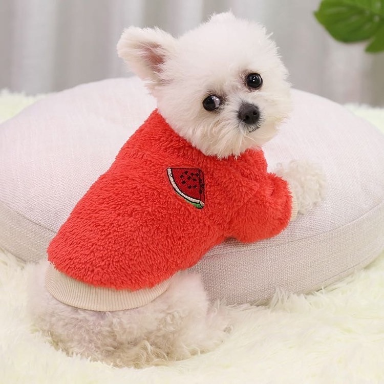 Polyester Dogs Autumn Fashion Winter Autumn and winter warm twolegged dog pet supplies clothes Dog Teddy New Year costume