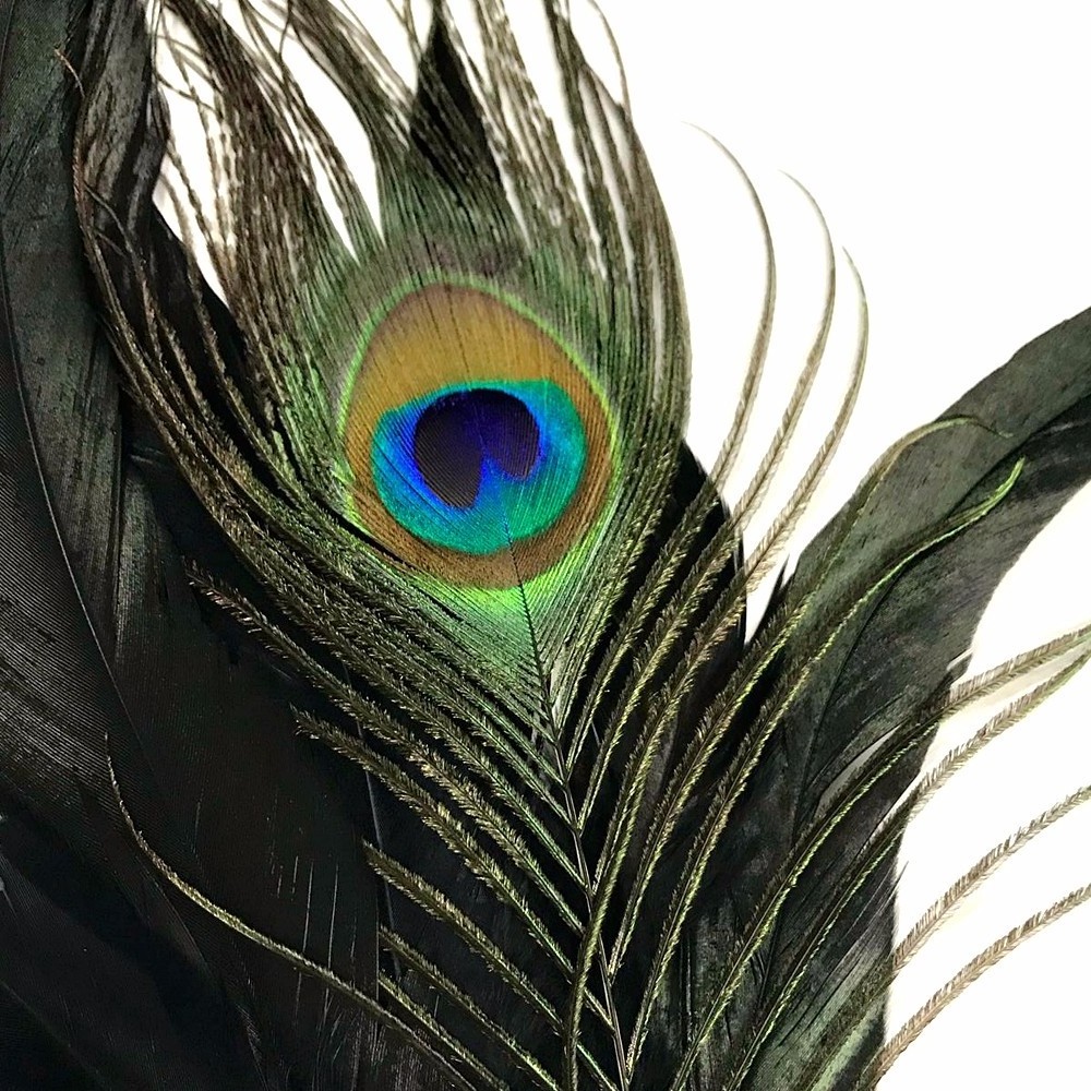 Masquerade Party Venetian Costume Artificial Peacock Feathers Confetti Half Face Mask