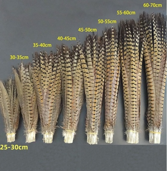 Pengze Factory Dyed Bleached Big Pheasant Tail Feathers Long Plumas de Faisan with Pricing