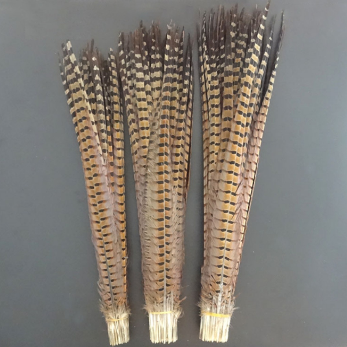 Pengze Factory Dyed Bleached Big Pheasant Tail Feathers Long Plumas de Faisan with Pricing