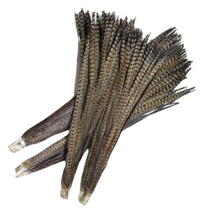 Pengze Factory Dyed Bleached Big Pheasant Tail Feathers Long Plumas de Faisan with Pricing