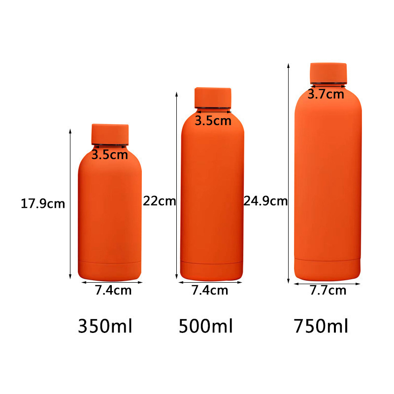 Matte Coated Leakproof Vacuum Insulated Double Walled Reusable Stainless Steel Thermos Termos Water Bottle