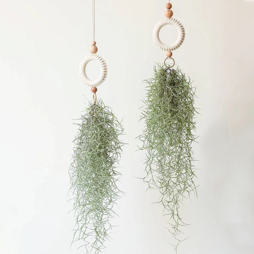 Nordic Indoor Hanging Fabric Woven Macrame Tillandsia Plant Hanger Air Fern Plant Holder Wall Gardening Accessories