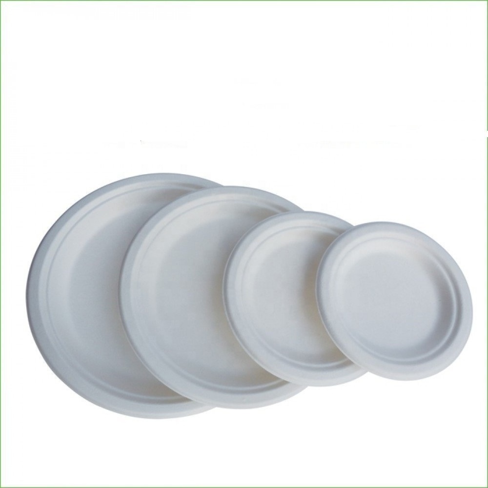 Biodegradable Dinnerware 6 7 8 9 10 Inch Pulp Bagasse Sugarcane Sugar Cane Paper Tableware Square Round Oval Plate