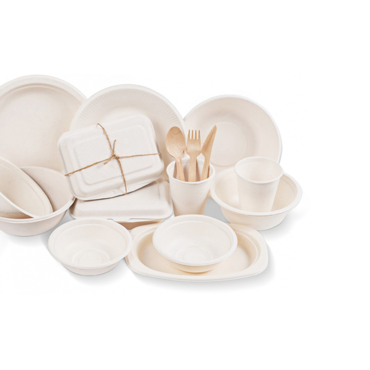 Biodegradable Dinnerware 6 7 8 9 10 Inch Pulp Bagasse Sugarcane Sugar Cane Paper Tableware Square Round Oval Plate