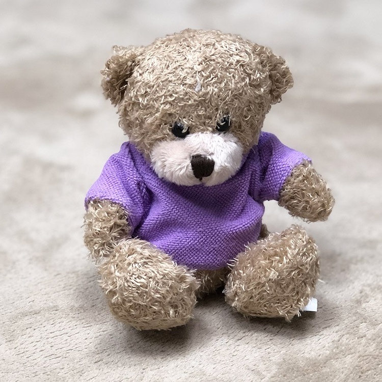 2021 Wholesale Mini Teddy Bear 13 Cm Knit Sweater Teddy Brown Small Plush CE Customized Unisex Teddy Bear with Custom Shirt