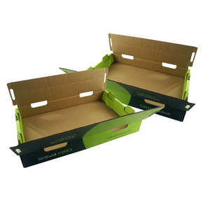 Recyclable Self Erecting Corrugated Paper Boxes Fresh Dragon Mango Fruit Export Packaging Box