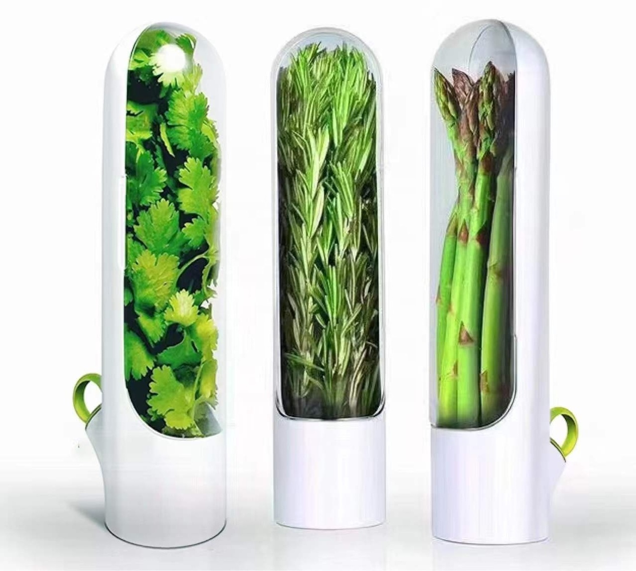 Wholesale New Design Food Keeper Fresh Herb Keeper storage Vegetable Container Portable Fresh Herb Saver