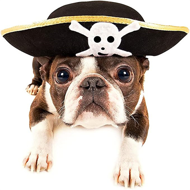 Wholesale Skull Print Pirate Captain Hat Golden Edging Buccaneer Hat Pirate Theme Parties and Halloween Costume Accessories