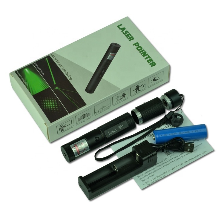 Factory direct sales new 301 single point adjustable green laser pointer 523nm laser indication teaching pen