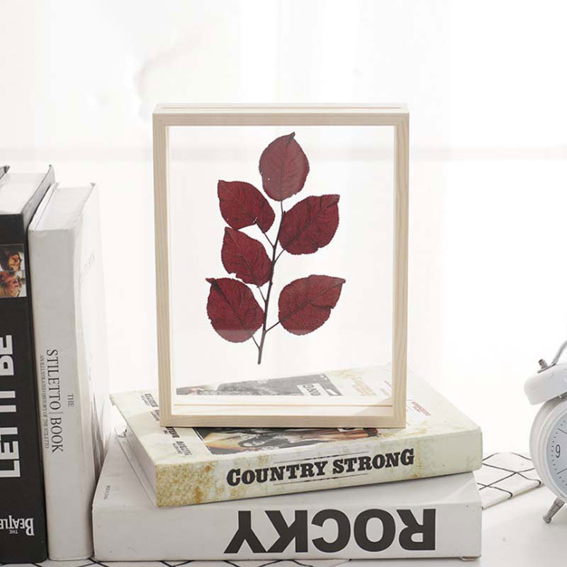 Wall Art Floating Double Glass Wooden Photo Frame