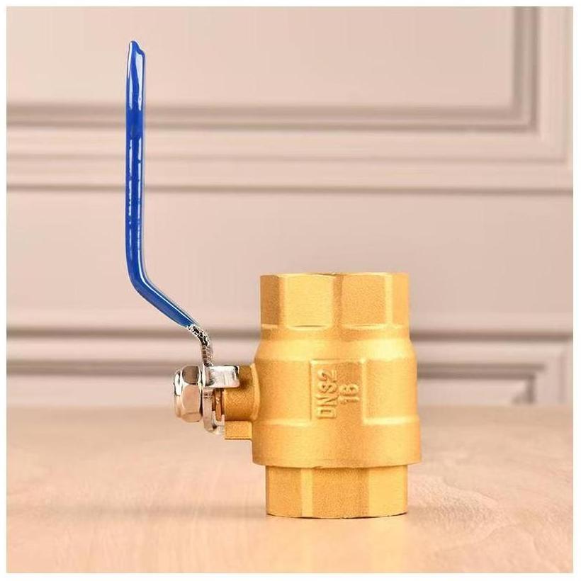 Valves Ball Pipe Fittings bibcock brass Check Smart Shut Off Double Block And Bleed Shut-Off Upvc 1/8 Npt Schrader Valve