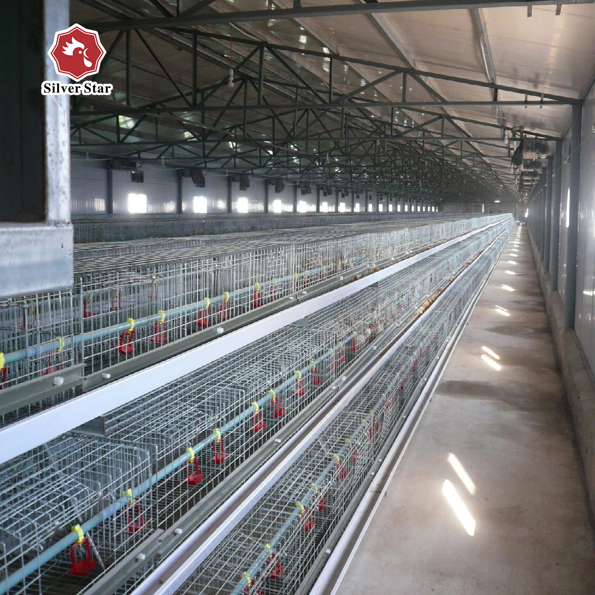 Henen factory poultry galvanized broiler cage/rabbit cage/chick cage