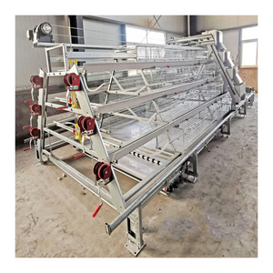 Poultry A Type Automatic Broiler Rearing Chicken Cage For 1000 Chicken With Conveyor Belt