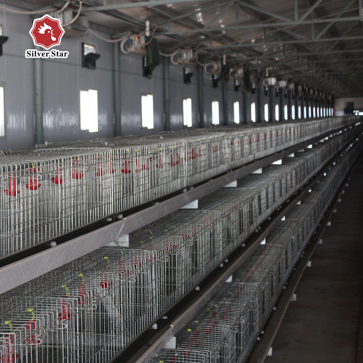 Henen factory poultry galvanized broiler cage/rabbit cage/chick cage