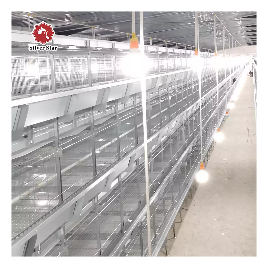 Poultry Farms Can Be Customized Galvanized Multi-layer Chicken Coop