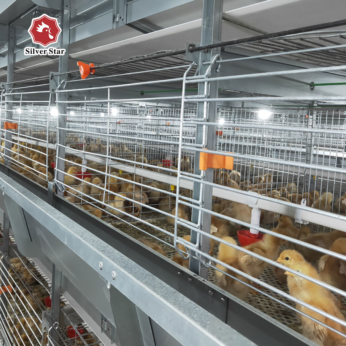 Hot-selling poultry breeding equipment H-type layer chicken cage