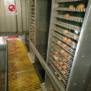 Hot-selling Automation Chicken Cage Conveyor Chicken Eggs Transport Belt for Poultry Cage  Custom Item