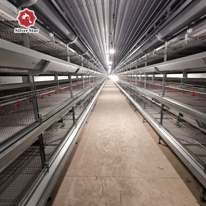 Hot-selling poultry breeding equipment H-type layer chicken cage