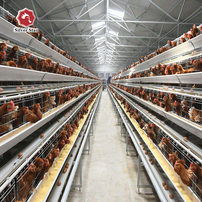 Hot-selling Automation Chicken Cage Conveyor Chicken Eggs Transport Belt for Poultry Cage  Custom Item