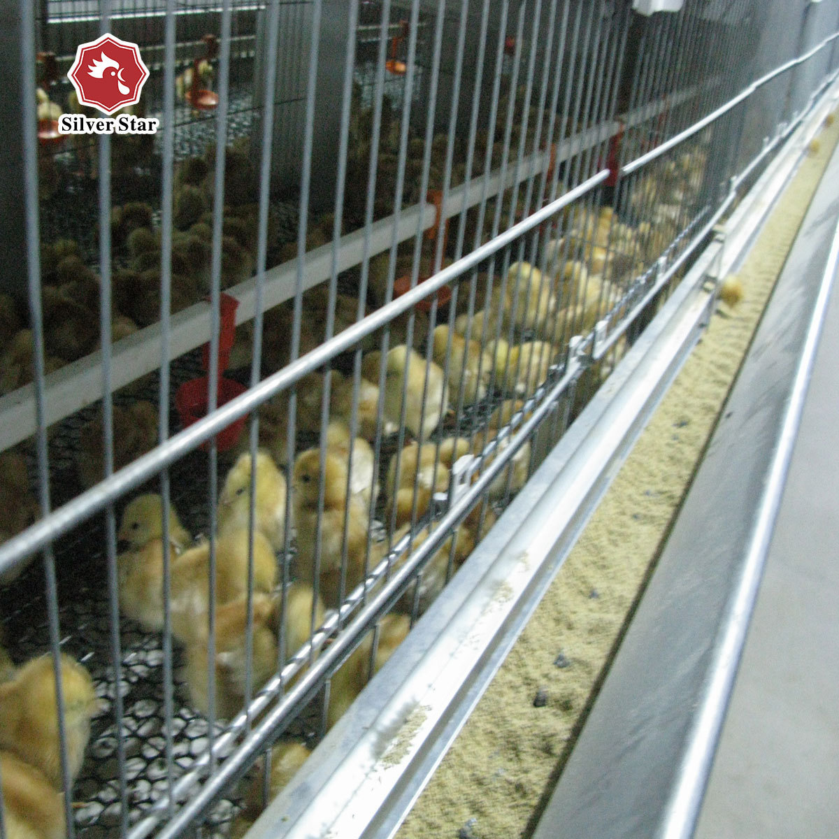 Hot-selling poultry breeding equipment H-type layer chicken cage