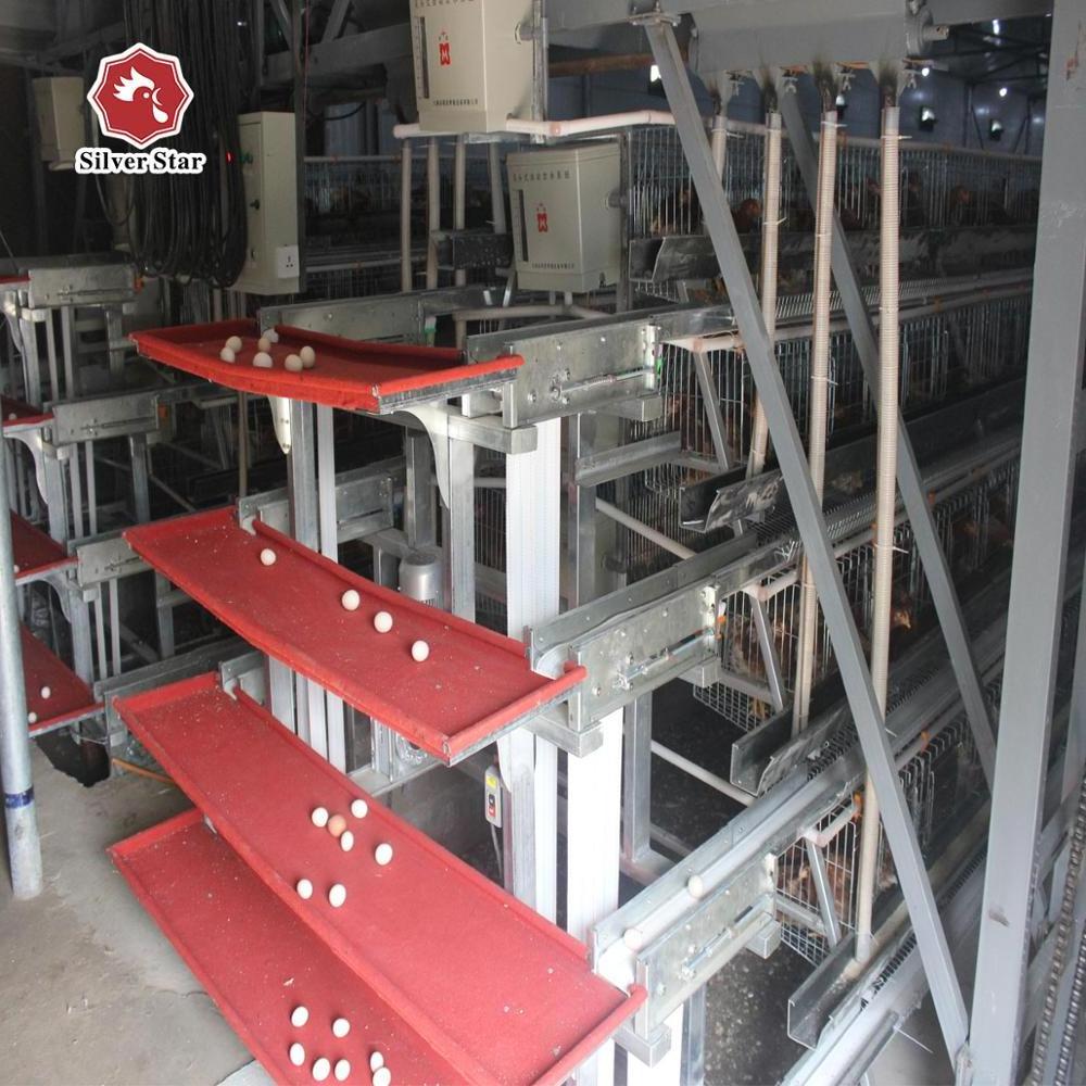 Customized multi-layer professional chicken cages for broilers and chicks